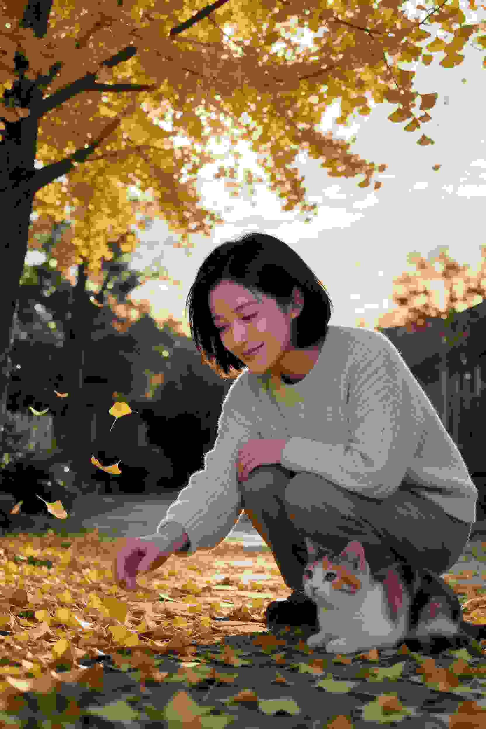 总裁的秘书